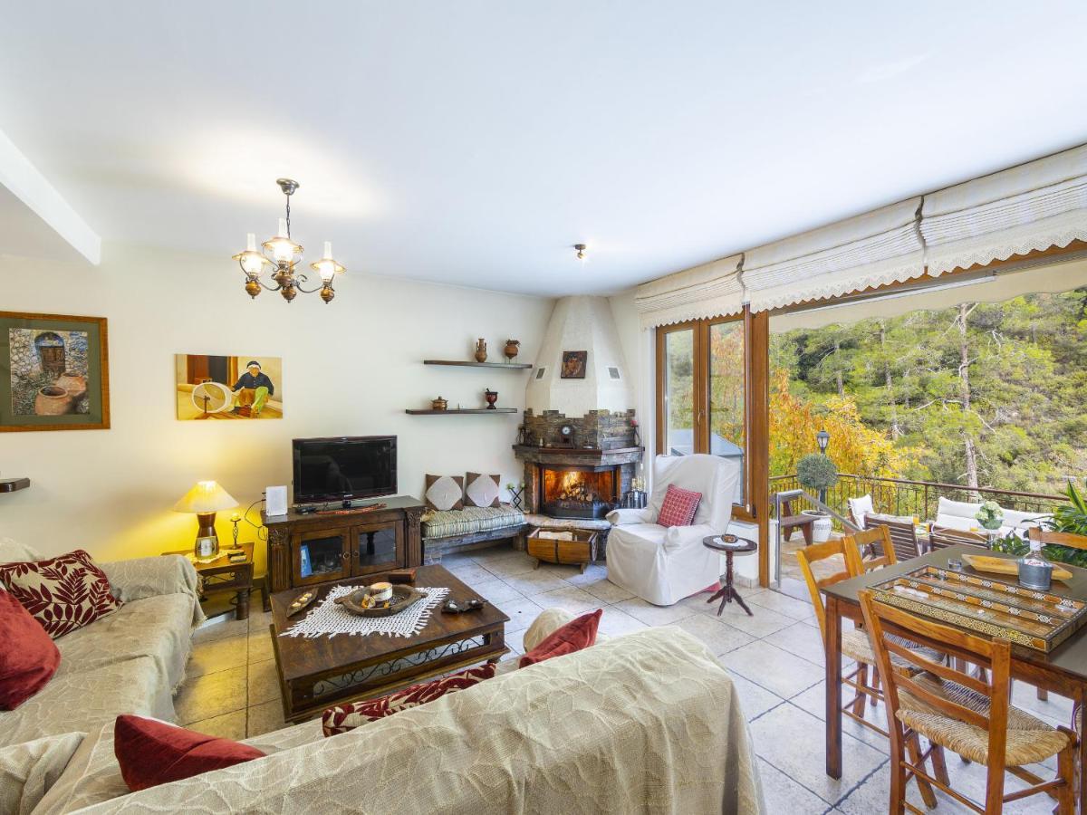 Troodos Riverside Cottage Kato Amiandos Екстериор снимка